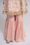 Maria B | 3 Piece Embroidered Organza Suit | MKS-EF24-18 - House Of Zarish