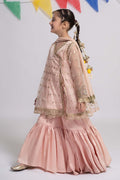 Maria B | 3 Piece Embroidered Organza Suit | MKS-EF24-18 - House Of Zarish