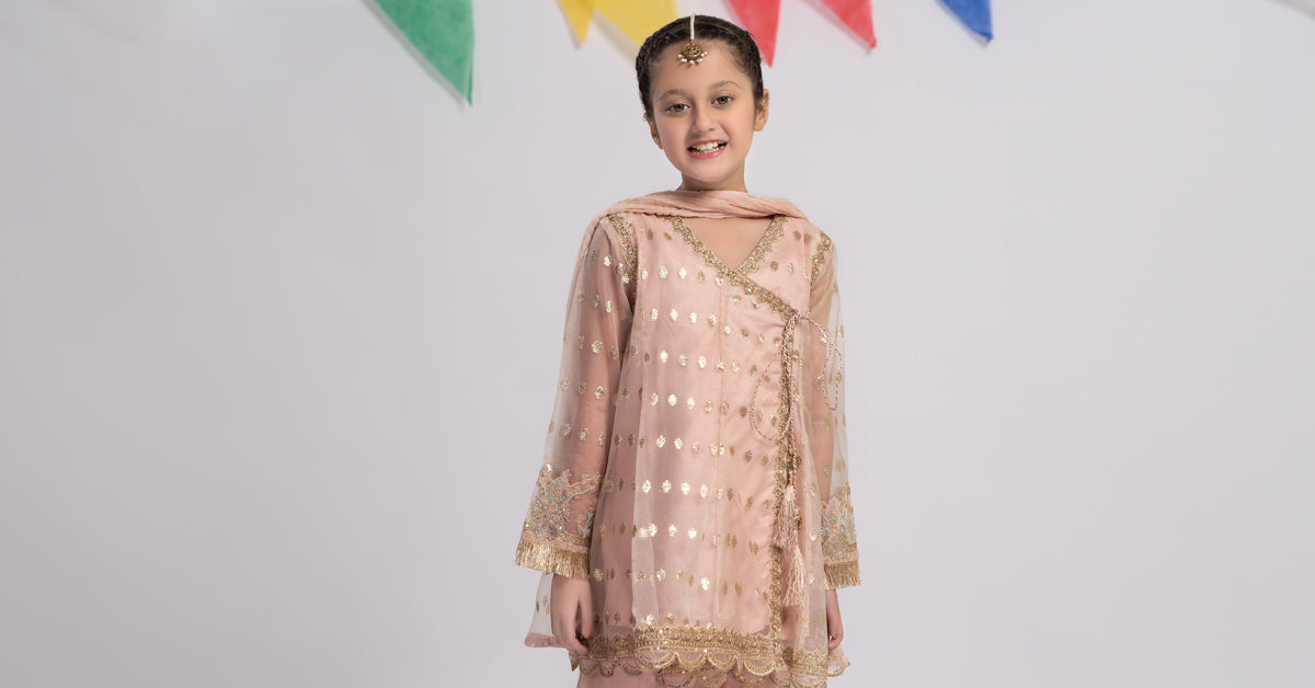 Maria B | 3 Piece Embroidered Organza Suit | MKS-EF24-18 - House Of Zarish