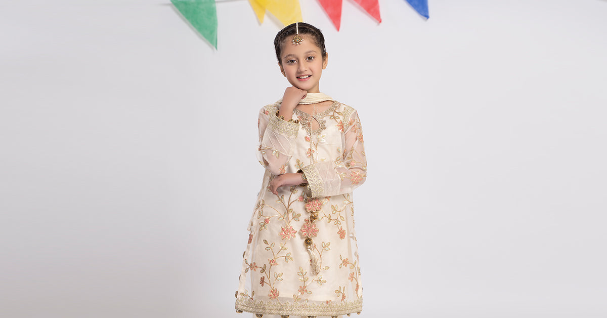 Maria B | 3 Piece Embroidered Organza Suit | MKS-EF24-30 - Libasekhas
