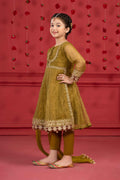 Maria B | Suit Green MKS-W23-33 - House Of Zarish