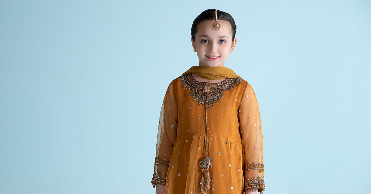 Maria B | 3 Piece Embroidered Organza Suit | MKS-EA24-28 - Libasekhas