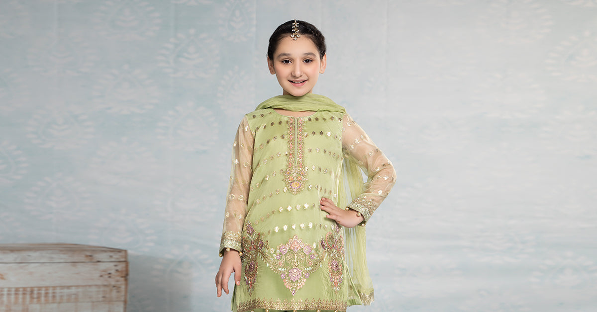 Maria B | 3 Piece Embroidered Organza Suit | MKS-EF24-45 - House Of Zarish