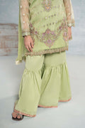 Maria B | 3 Piece Embroidered Organza Suit | MKS-EF24-45 - House Of Zarish