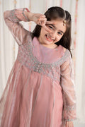 Maria B | 3 Piece Embroidered Zari Net Suit | MKS-EF25-01 - House Of Zarish