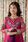 Maria B | 3 Piece Embroidered Organza Suit | MKS-EF25-16 - House Of Zarish