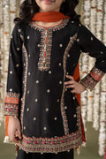 Maria B | 3 Piece Embroidered Raw Silk Suit | MKS-EF25-25 - House Of Zarish