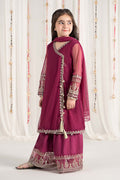 Maria B | 3 Piece Embroidered Polyester Net Suit | MKS-EF25-43 - House Of Zarish