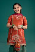 Maria B | 3 Piece Embroidered Raw Silk Suit | MKS-EF25-45 - House Of Zarish