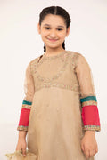 Maria B | 3 Piece Embroidered Zari Net Suit | MKS-PF24-03 - House Of Zarish