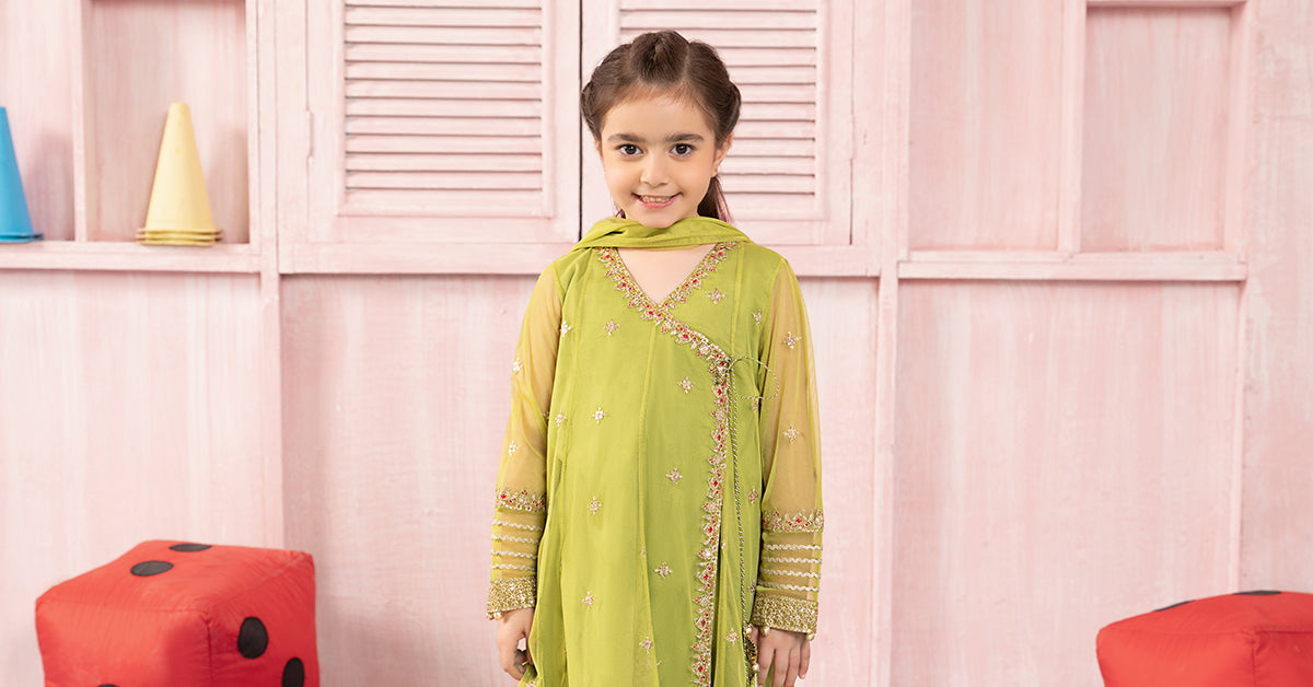 Maria B | 3 Piece Embroidered Net Suit | MKS-PF24-05 - House Of Zarish