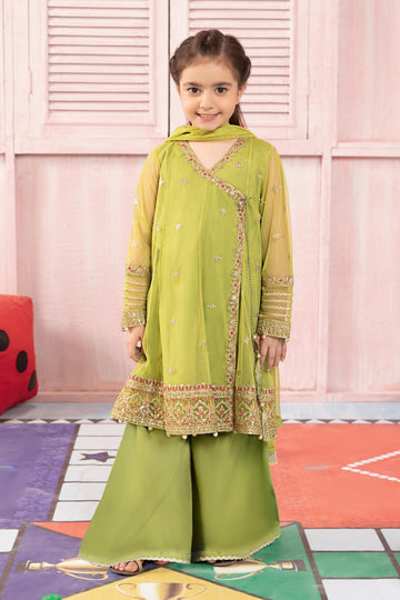Maria B | 3 Piece Embroidered Net Suit | MKS-PF24-05 - House Of Zarish