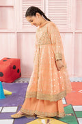 Maria B | 3 Piece Embroidered Organza Suit | MKS-PF24-07 - Libasekhas