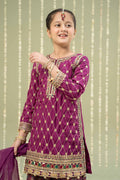 Maria B | 3 Piece Embroidered Raw Silk Suit | MKS-W24-28 - House Of Zarish