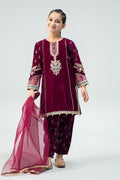 Maria B | 3 Piece Embroidered Velvet Suit | MKS-W24-32 - Libasekhas