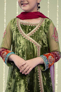 Maria B | 3 Piece Embroidered Velvet Suit | MKS-W24-15 - House Of Zarish