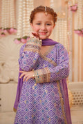Maria B | 3 Piece Embroidered Raw Silk Suit | MKS-W24-20 - House Of Zarish