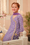 Maria B | 3 Piece Embroidered Raw Silk Suit | MKS-W24-20 - House Of Zarish