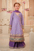 Maria B | 3 Piece Embroidered Raw Silk Suit | MKS-W24-20 - Libasekhas