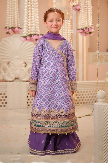 Maria B | 3 Piece Embroidered Raw Silk Suit | MKS-W24-20 - Libasekhas