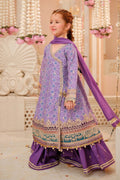 Maria B | 3 Piece Embroidered Raw Silk Suit | MKS-W24-20 - Libasekhas