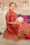 Maria B | 3 Piece Embroidered Jamawar Suit | MKS-W24-30 - House Of Zarish