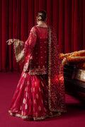 MNR | Zarlish Festive Formals | Leela