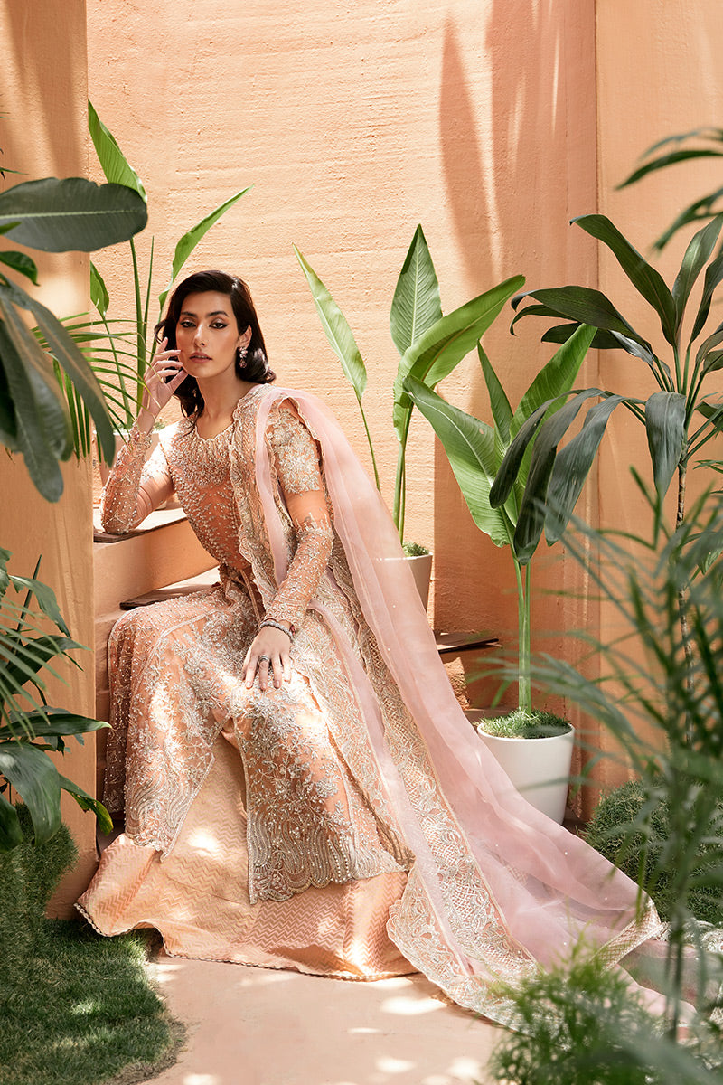 New Mushq-Corallina - Riwayat-e-khas