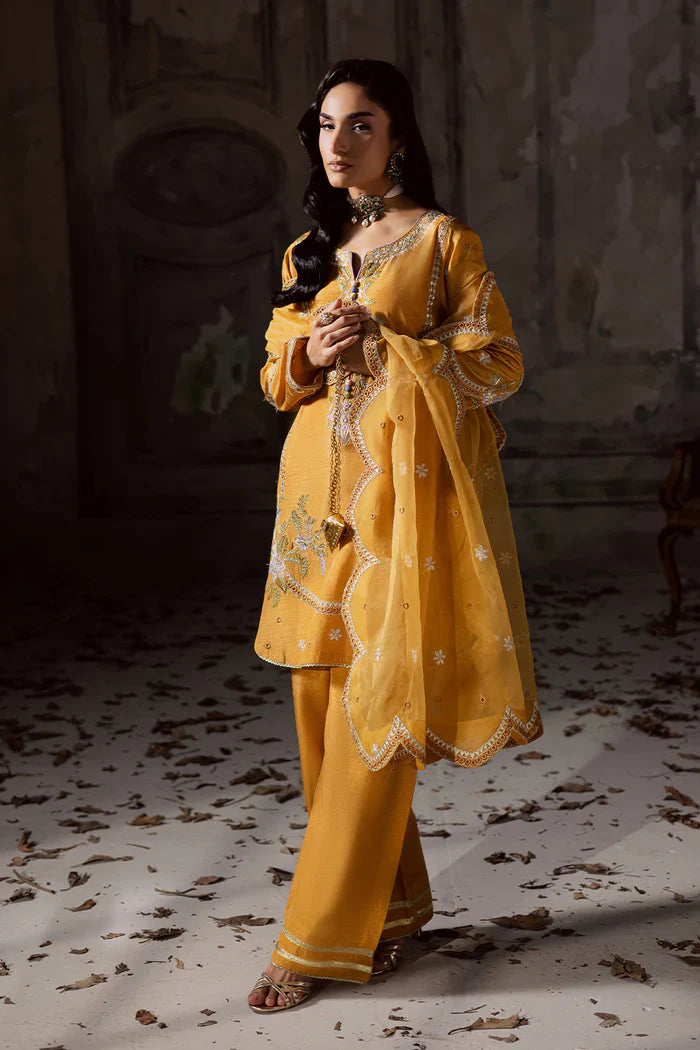 Maryum N Maria | Zarq | VEECI - MSS5833