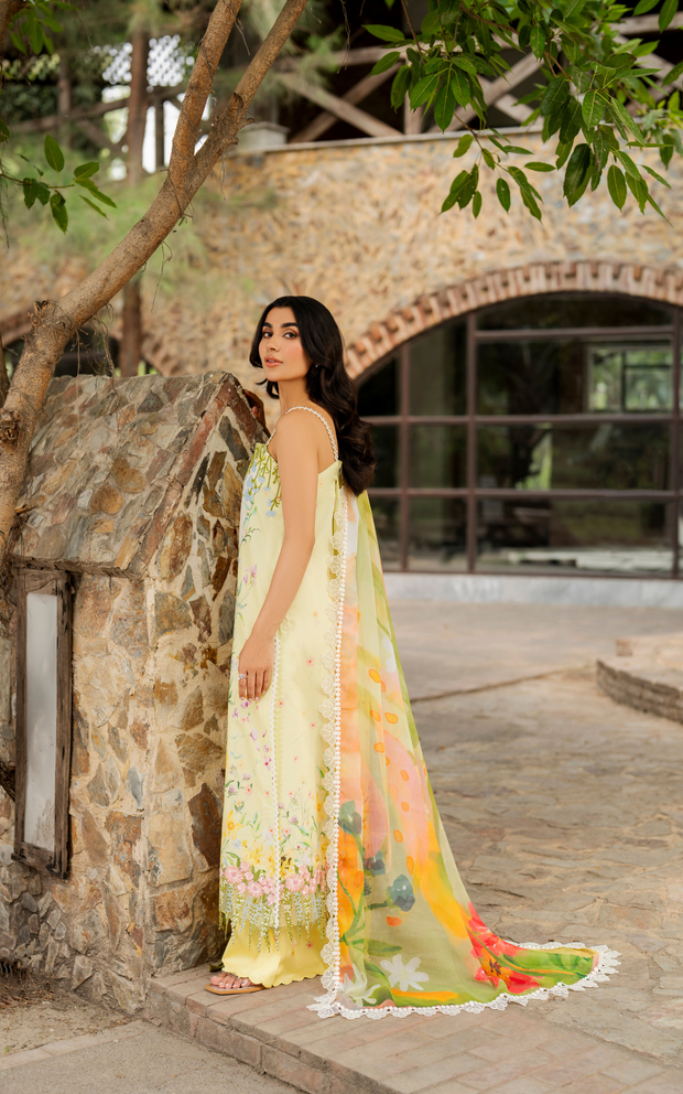 Asifa and Nabeel | Meraki SUmmer 26 | Orchid MSSL-01