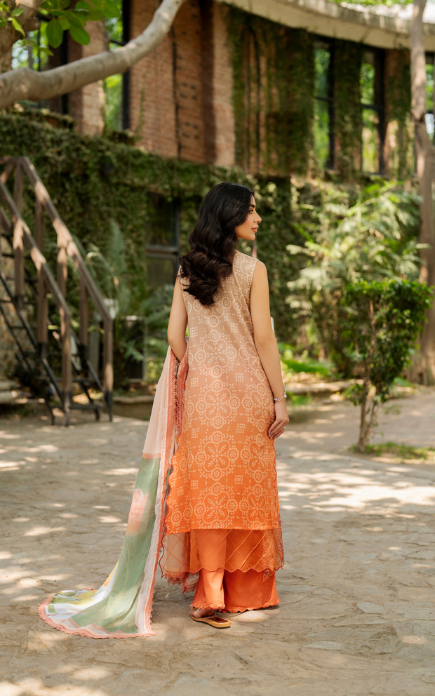 Asifa and Nabeel | Meraki SUmmer 26 | Peach Sorbet MSSL-02