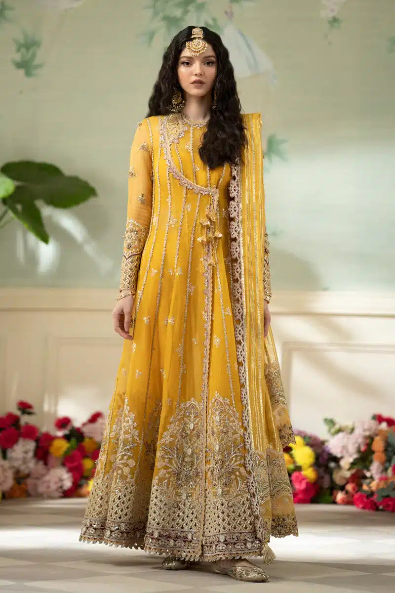 Qalamkar | Dilnaz Wedding Formals | DN-04 KANZA - House Of Anaya