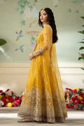 Qalamkar | Dilnaz Wedding Formals | DN-04 KANZA - House Of Anaya