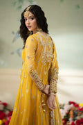 Qalamkar | Dilnaz Wedding Formals | DN-04 KANZA - House Of Anaya