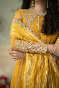 Qalamkar | Dilnaz Wedding Formals | DN-04 KANZA - House Of Anaya