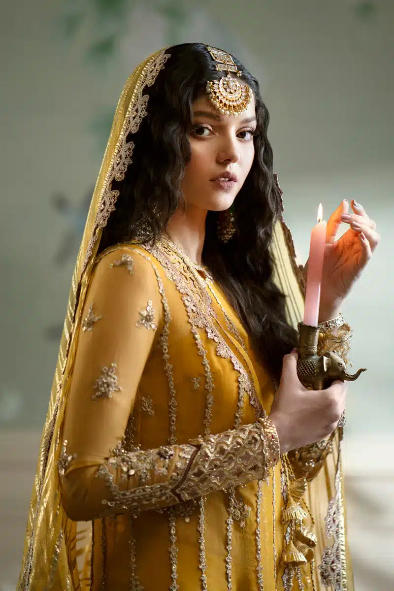 Qalamkar | Dilnaz Wedding Formals | DN-04 KANZA - House Of Anaya