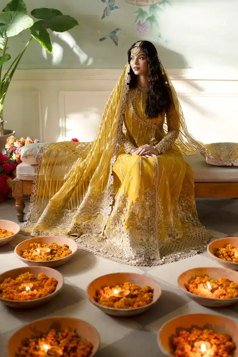 Qalamkar | Dilnaz Wedding Formals | DN-04 KANZA - House Of Anaya