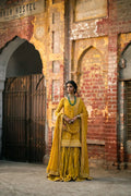 Erum Khan | Mannat Formals | Aatish - House Of Anaya