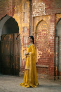 Erum Khan | Mannat Formals | Aatish - House Of Anaya
