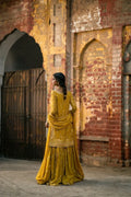 Erum Khan | Mannat Formals | Aatish - House Of Anaya