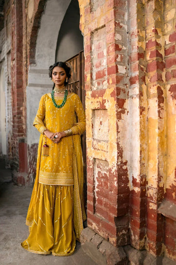Erum Khan | Mannat Formals | Aatish - House Of Anaya