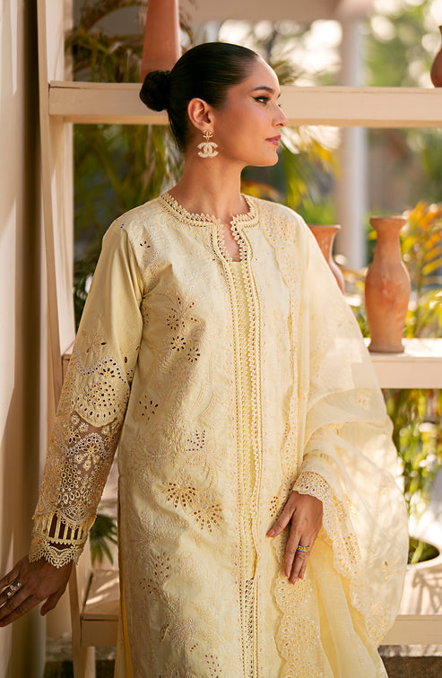 Emaan Adeel | Navaeh Luxury Pret | ADARA - House Of Anaya