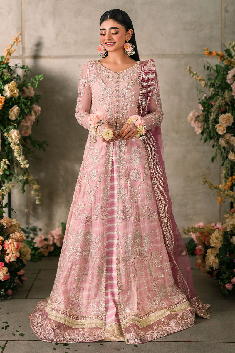 Mushq | Mastani Evening Luxury Chiffon | Maisha - House Of Anaya