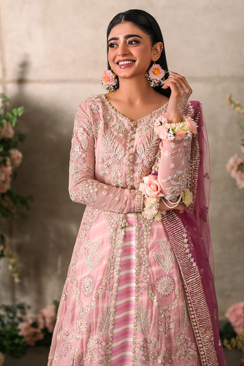 Mushq | Mastani Evening Luxury Chiffon | Maisha - House Of Anaya
