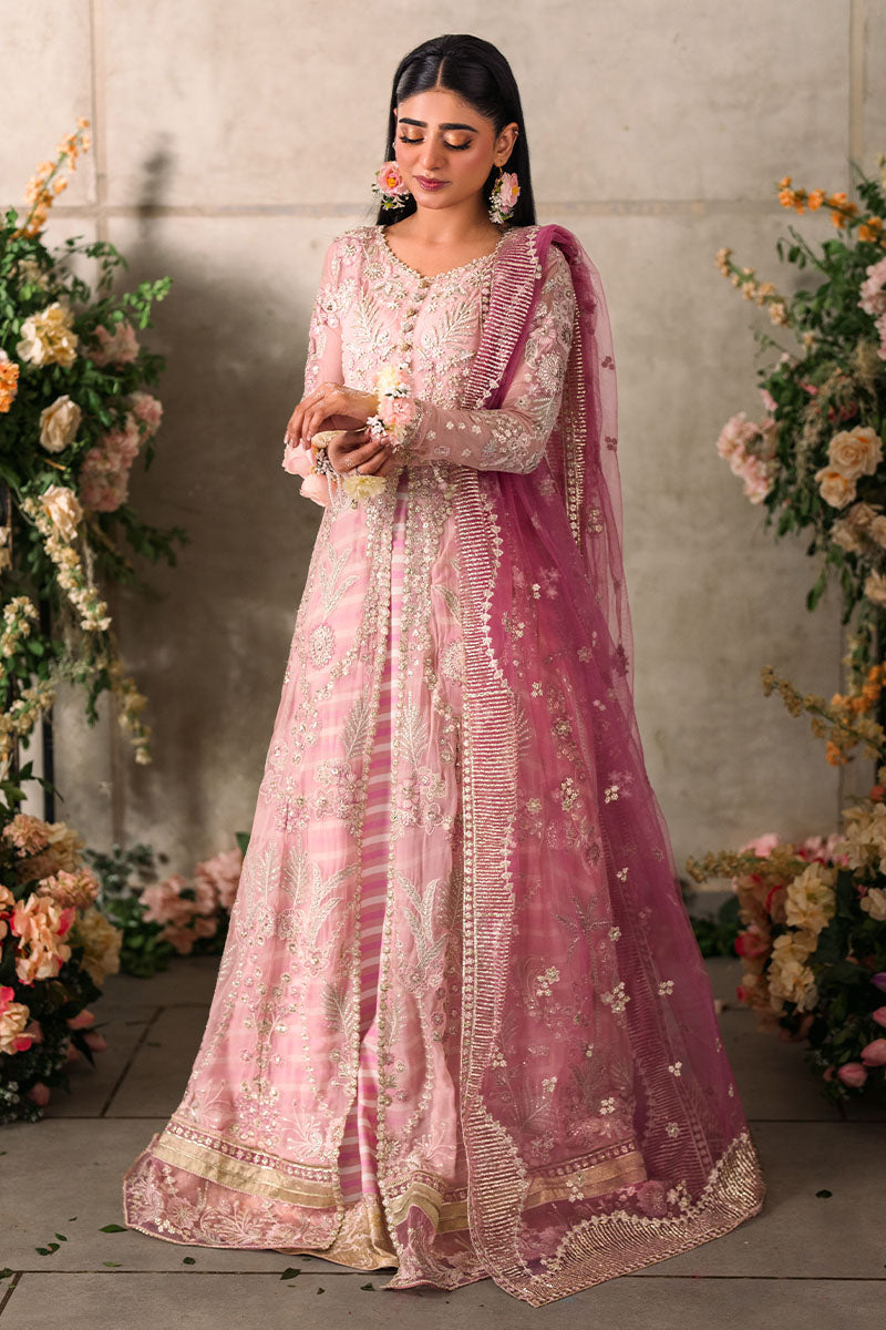 Mushq | Mastani Evening Luxury Chiffon | Maisha - House Of Anaya