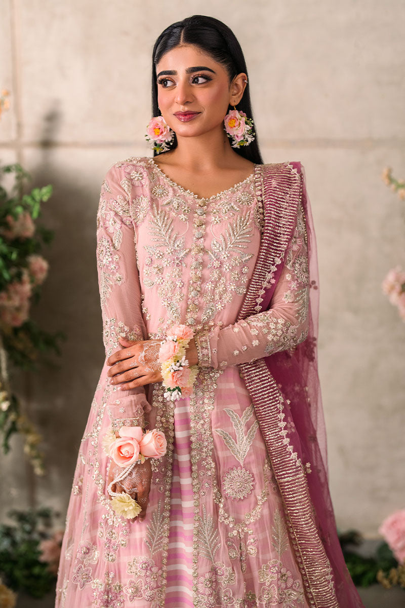 Mushq | Mastani Evening Luxury Chiffon | Maisha - House Of Anaya