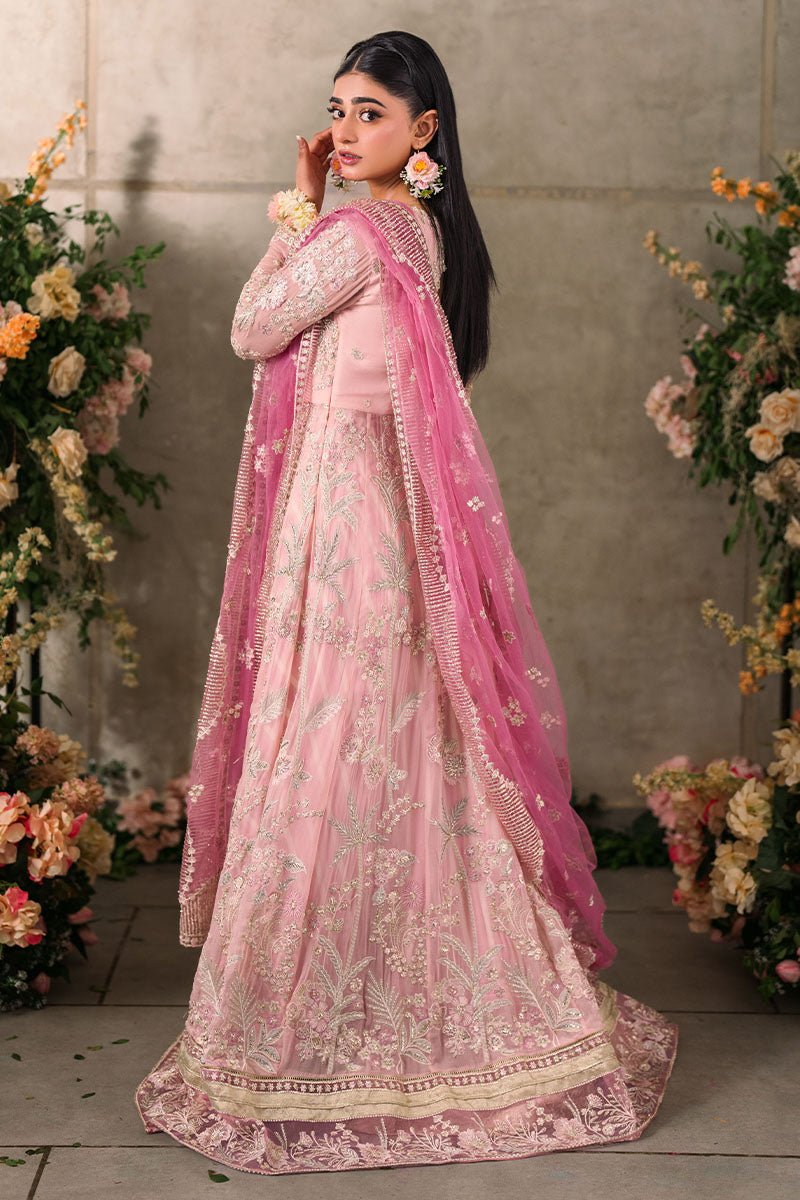 Mushq | Mastani Evening Luxury Chiffon | Maisha - House Of Anaya