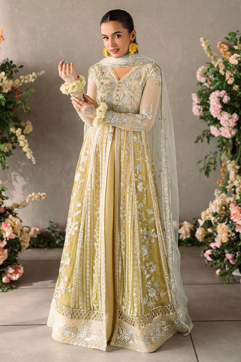 Mushq | Mastani Evening Luxury Chiffon | Hira - House Of Anaya