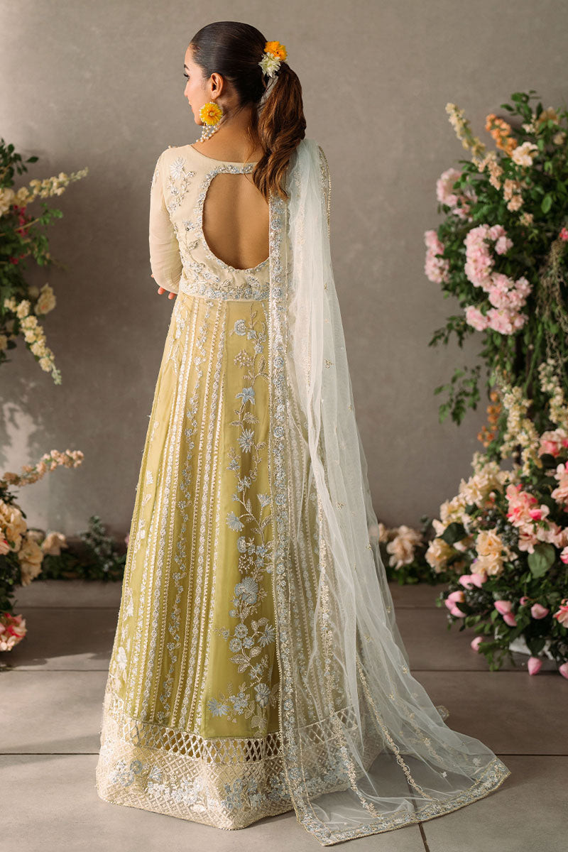 Mushq | Mastani Evening Luxury Chiffon | Hira - House Of Anaya
