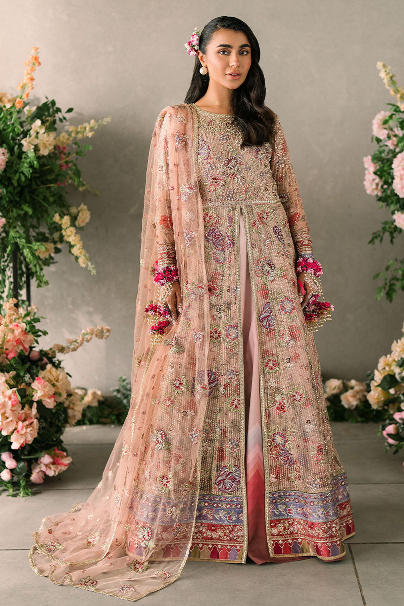 Mushq | Mastani Evening Luxury Chiffon | Sona - House Of Anaya